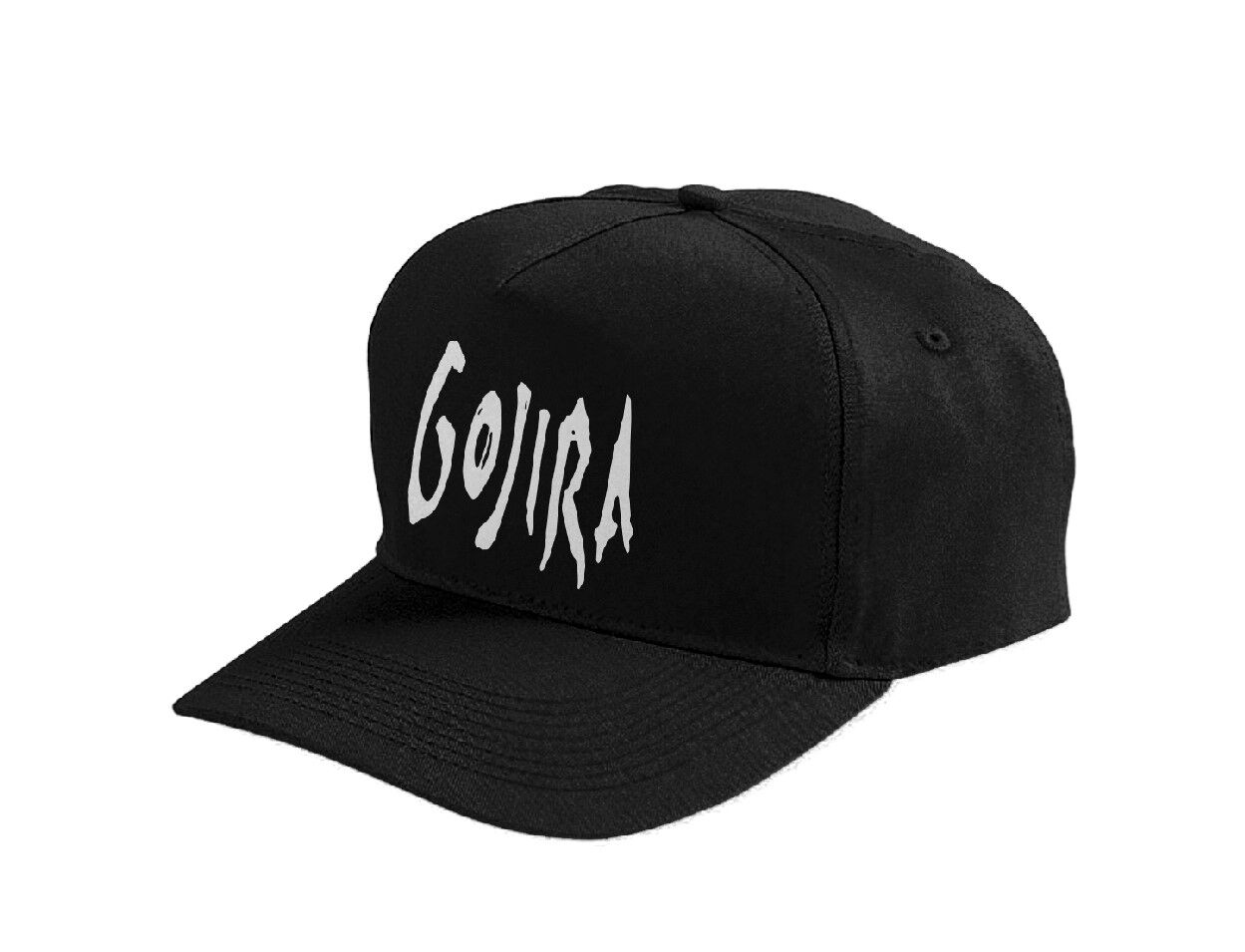 Standard Logo Snapback Hat H